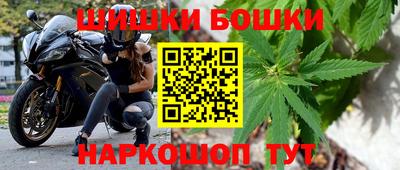 гашик Аргун