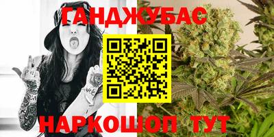 гашик Аргун