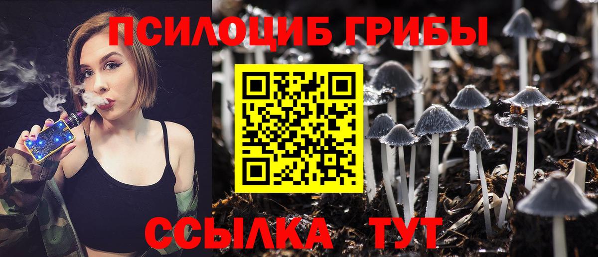 Воронеж  Псилоцибиновые грибы Psilocybine cubensis  Вход с VPN  Галлюциногенные грибы Magic Shrooms 